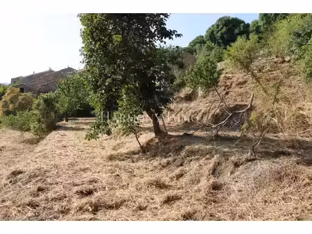 pila-canale -- rare : grand terrain en restanques de 2 154 m2