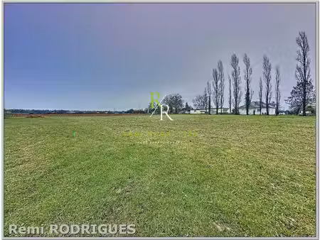 terrain constructible