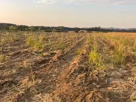 terrain agricole