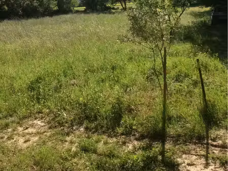 terrain de loisir