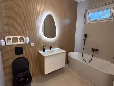 appartement t3 rénové 66m2
