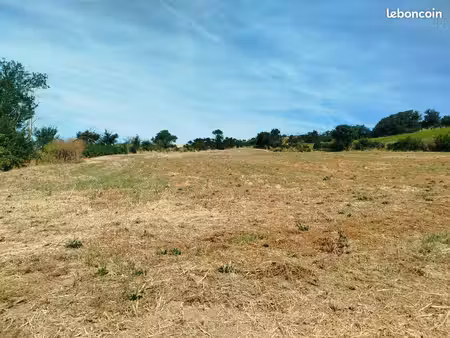 champs agricole