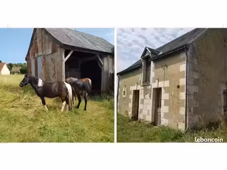 maison en pierre avec grand terrain