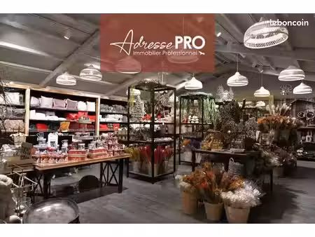 local commercial 560 m²