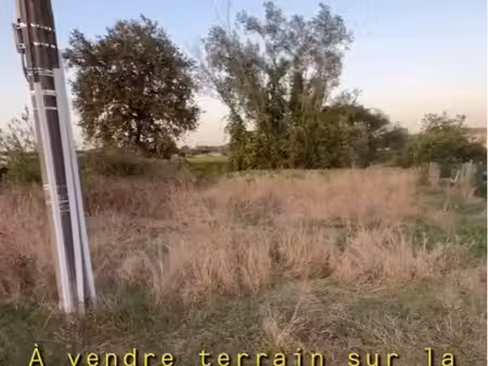 terrains agricoles