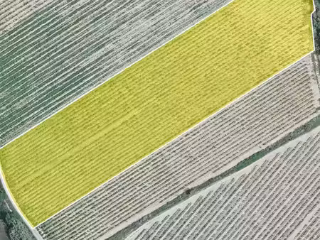 terrain agricole