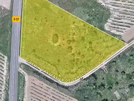 terrain agricole