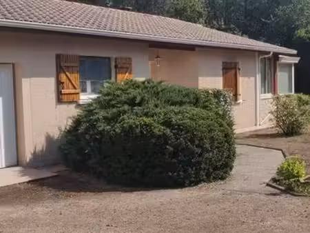 maison individuelle de plain pied avec piscine