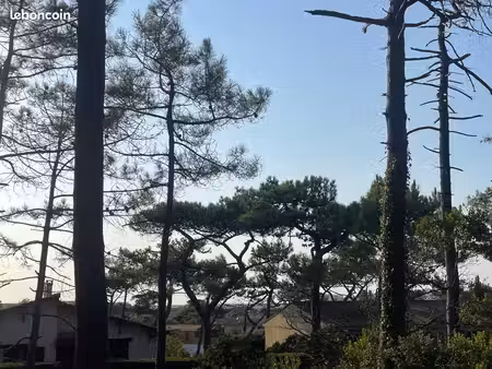 terrain 800 m² lacanau