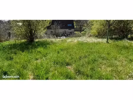 terrain constructible