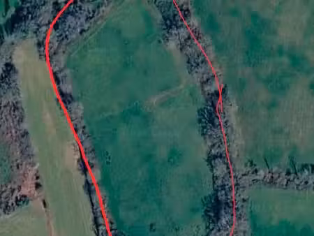prairie chevaux terrain