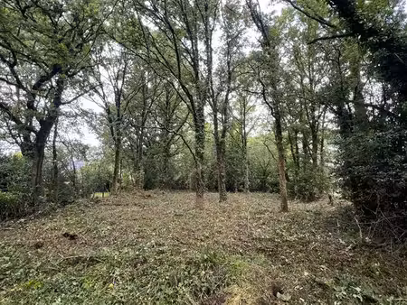 terrain constructible arboré 600m2