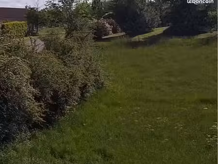 terrain constructible