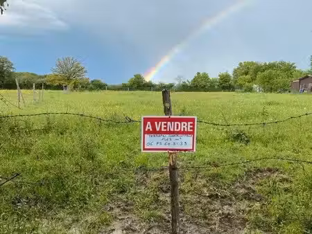 terrain constructible