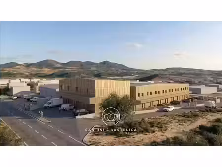 vente locaux professionnels 0 pièces à sarrola-carcopino (20167)  169 000 €