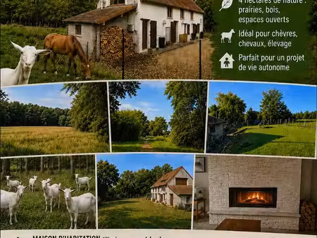 maison 180 m2 terrain 4 ha