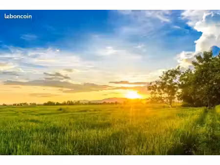 recherche terrain agricole