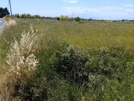 terrain agricole ou loisirs