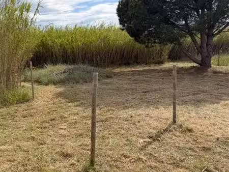 terrain agricole à torreilles
