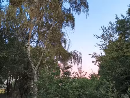 terrain d'environ 78 ares avec présence d'une maison en très mauvais état