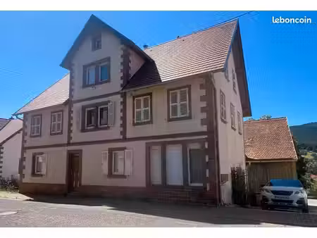maison rénovée  6 pièces de 280 m2 sur 15 ares de terrain au calme avec une superbe vue (w