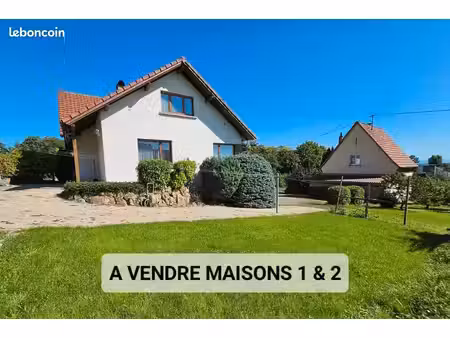 deux maisons grand terrain