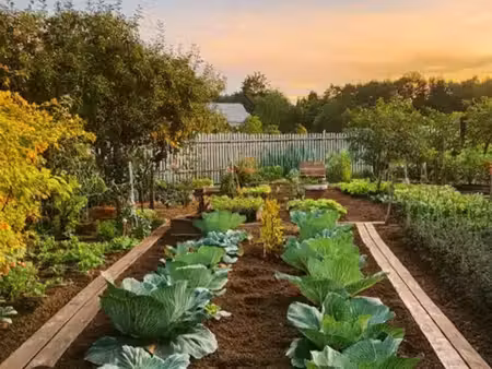 terrain pour un potager
