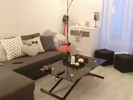 studio 21 m² saint-fargeau-village