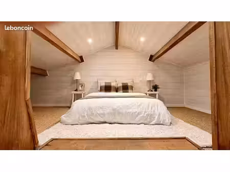 loft atypique style maison avec mezzanine  63m2 habitable  entièrement rénové- la tranche 