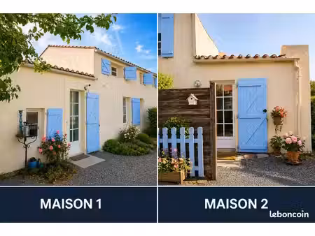investissement viager libre – 2 maisons indépendantes – rentabilité immédiate 600 metres d