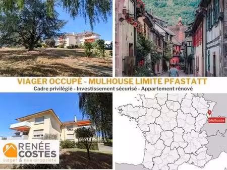 viager occupé - h69 ans - mulhouse (68200)