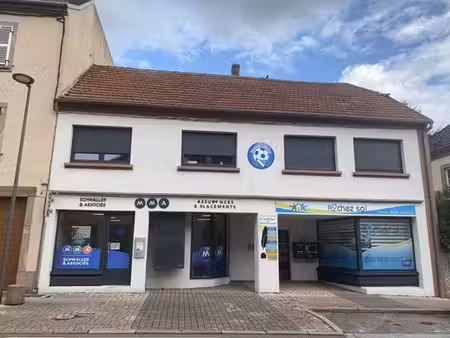 maison de 10 pièces de luxe en vente à sarre-union  france