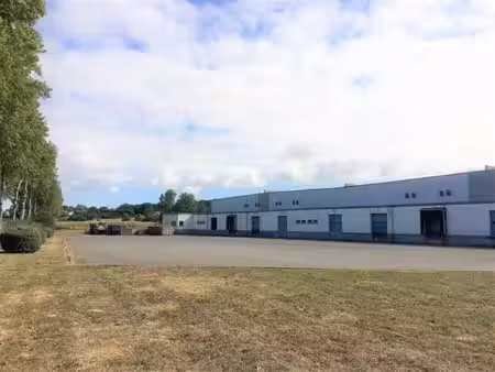location entrepôt / local d'activités grisolles 6 526 m²