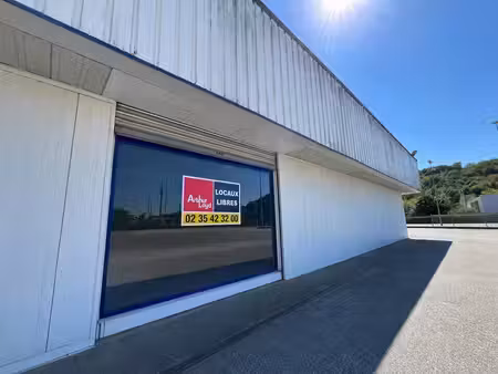 location commerce gruchet le valasse 76210 485m²