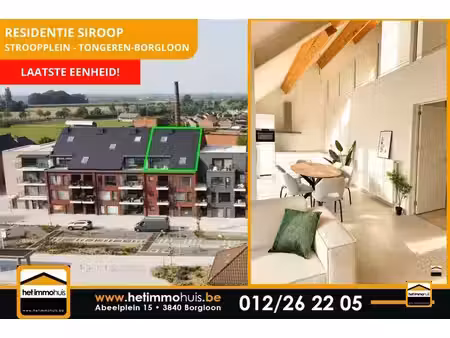 appartement te koop in tongeren-borgloon met 3 slaapkamers