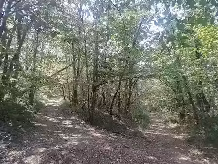 vente terrain 21549 m² à marsan (32270)  15 000 €