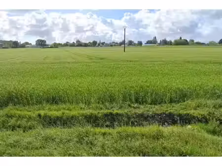 vente terrain 541 m² grézac (17120)