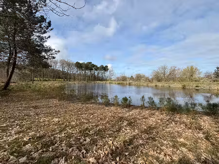 achat terrain 38 685m²