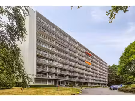 appartement te huur in edegem met 1 slaapkamer