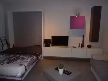 location appartement 1 pièce 31 m² à montpellier (34000)