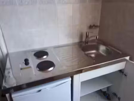 location appartement 1 pièce 13 m² à lyon 7 (69007)
