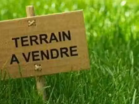 terrain constructible