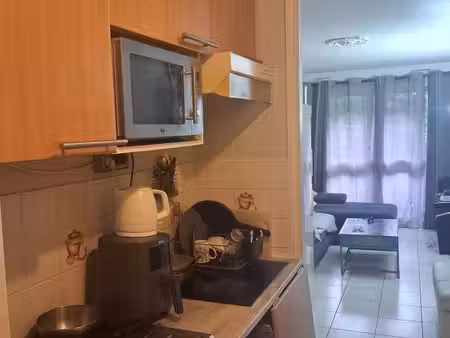 appartement calme face au lac grigny gare
