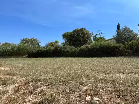 vente terrain 705 m² à rouffiac (81150)  60 000 €