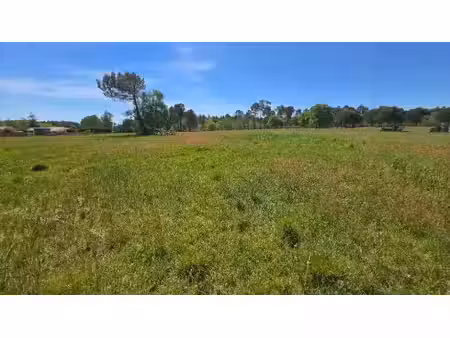 vente terrain 500 m² à aubie-et-espessas (33240)  77 000 €