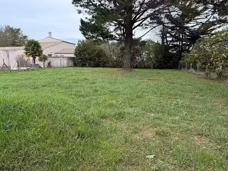 vente terrain 784 m² à saint-georges-d'oléron (17190)  153 000 €