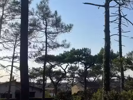 vente terrain 800 m² à lacanau (33680)  700 000 €