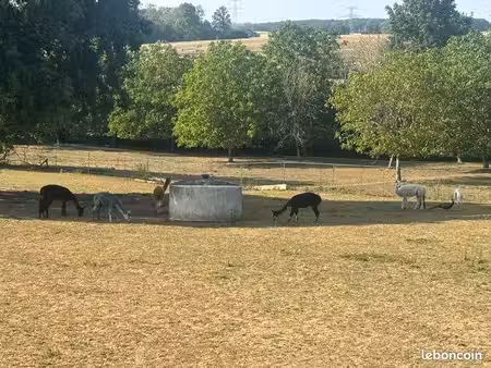 terrain constructible  eau  électricité  fibre du bon côté