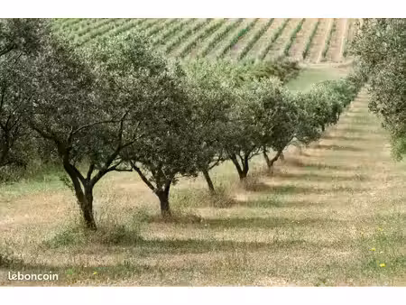cherche terrain agricole