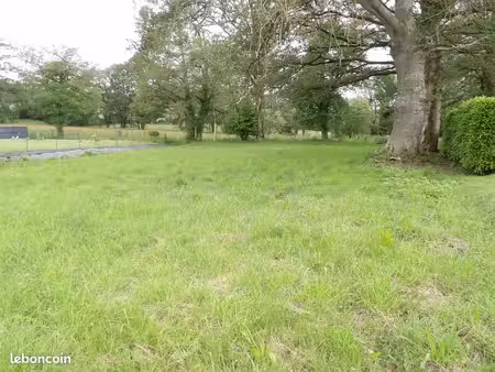 terrain viabilisée